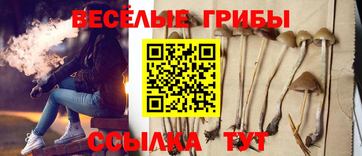 Галлюциногенные грибы MAGIC MUSHROOMS  Псилоцибиновые грибы прущие грибы  Вход с VPN  Усть-Джегута 